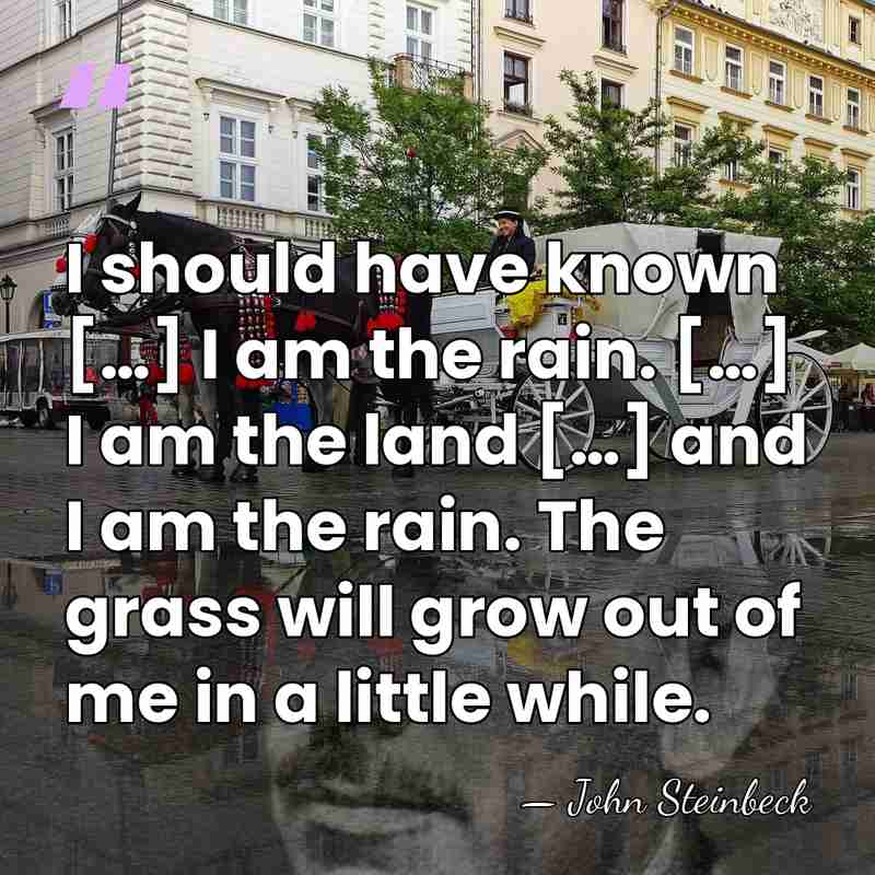 I should have known […] I am the rain. […] I am&hellip; - John Steinbeck