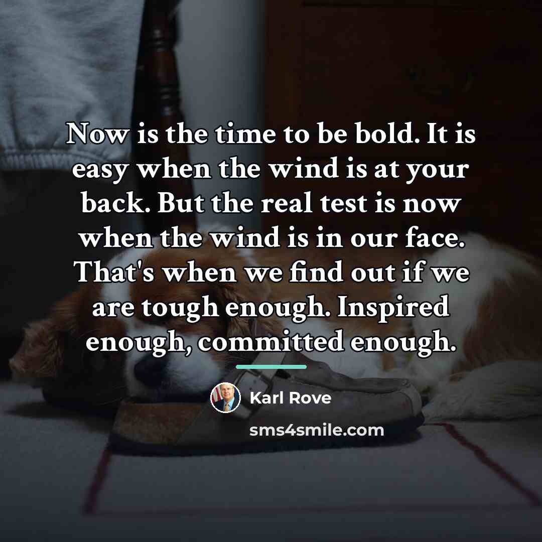 “Now is the time to be bold. It is easy…” quote by Karl Rove