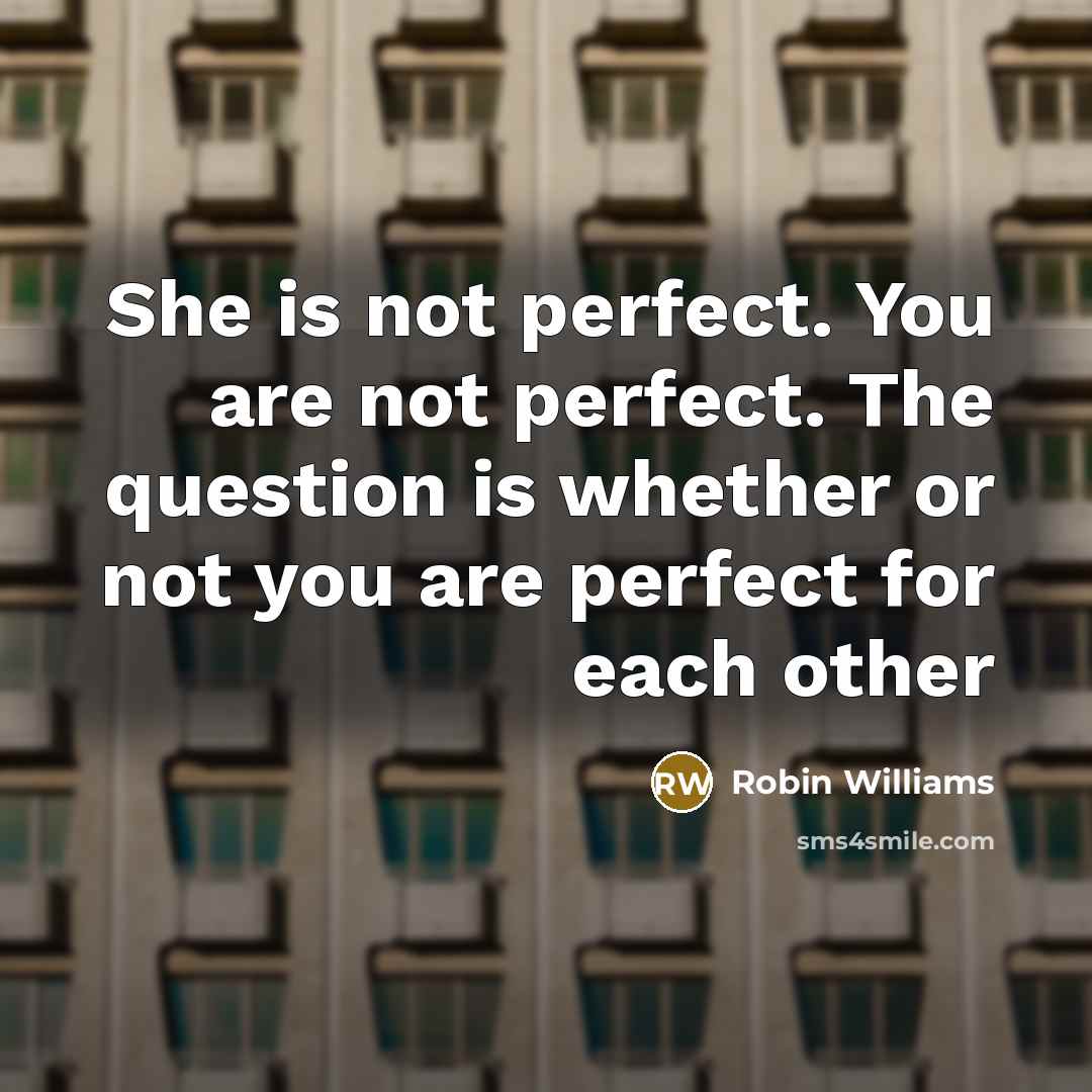 “She is not perfect. You are not perfect. The question…” quote by Robin Williams