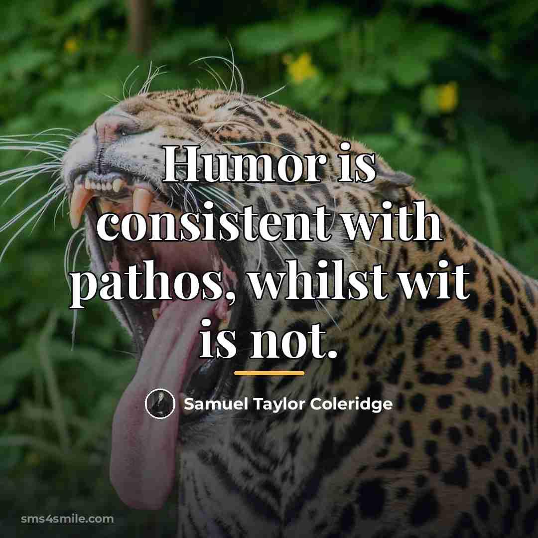“Humor is consistent with pathos, whilst wit is not.…” quote by Samuel Taylor Coleridge