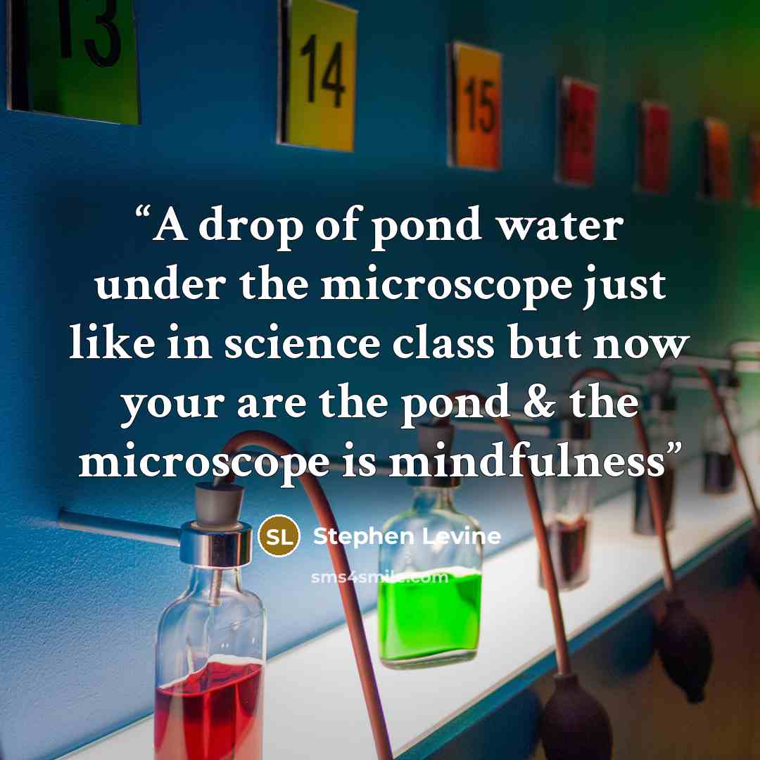 “A drop of pond water under the microscope just like in science class but now your are the pond & the microscope is mindfulness” quote by Stephen Levine