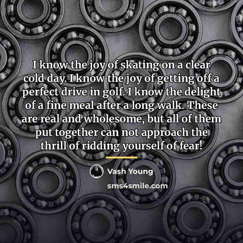 “I know the joy of skating on a clear cold…” quote by Vash Young