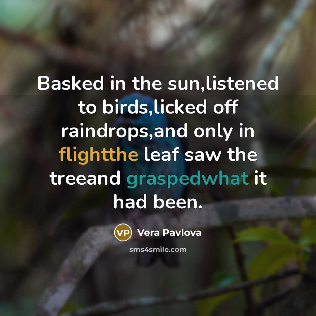 “Basked in the sun,listened to birds,licked off raindrops,and only in…” quote by Vera Pavlova