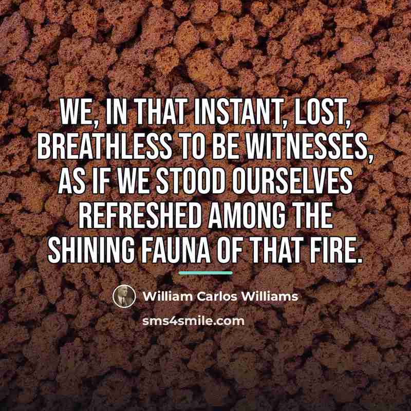 “we, in that instant, lost, breathless to be witnesses, as…” quote by William Carlos Williams