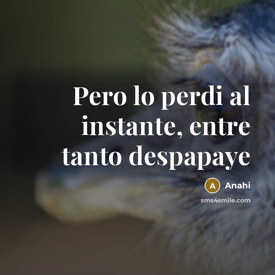 “Pero lo perdi al instante, entre tanto despapaye…” quote by Anahi