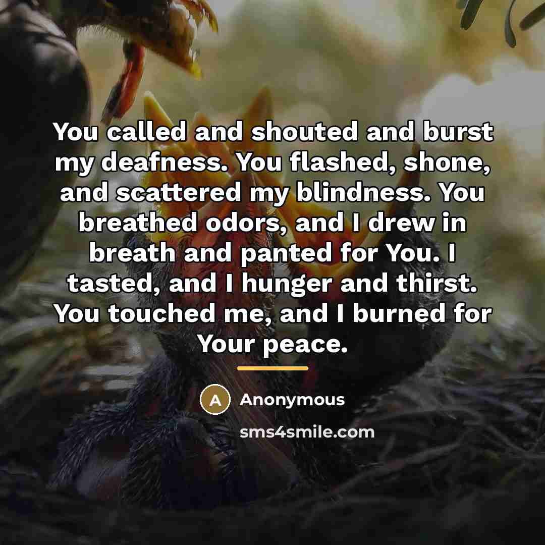 “You called and shouted and burst my deafness. You flashed,…” quote by Anonymous