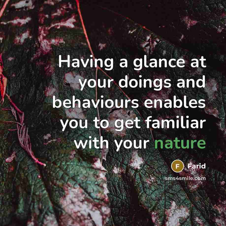 “Having a glance at your doings and behaviours enables you…” quote by Farid