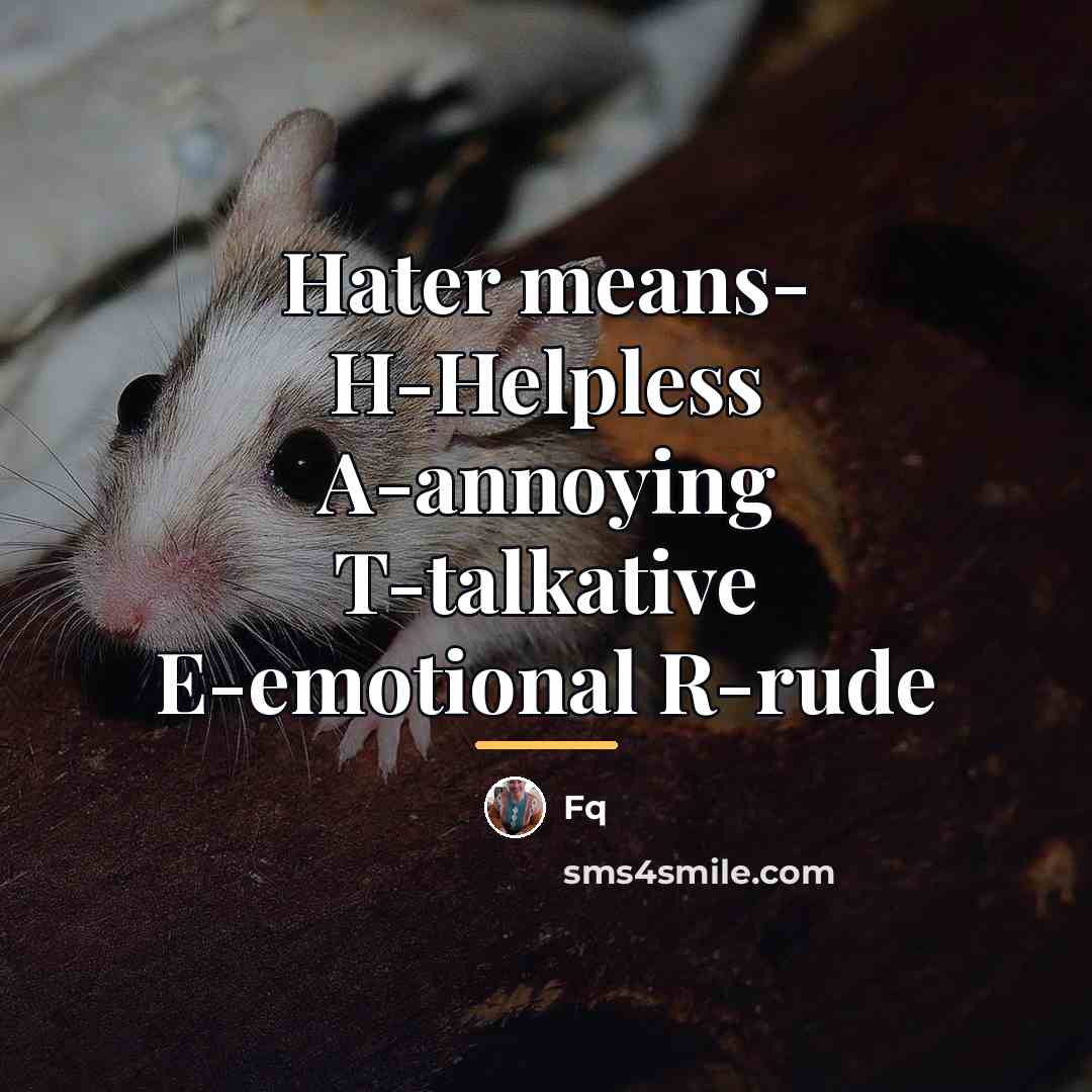 “Hater means- H-Helpless A-annoying T-talkative E-emotional R-rude…” quote by Fq