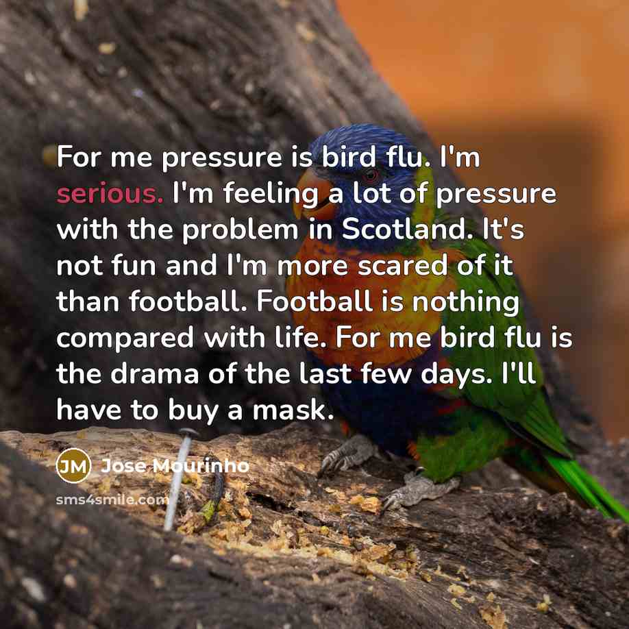 “For me pressure is bird flu. I'm serious. I'm feeling…” quote by Jose Mourinho