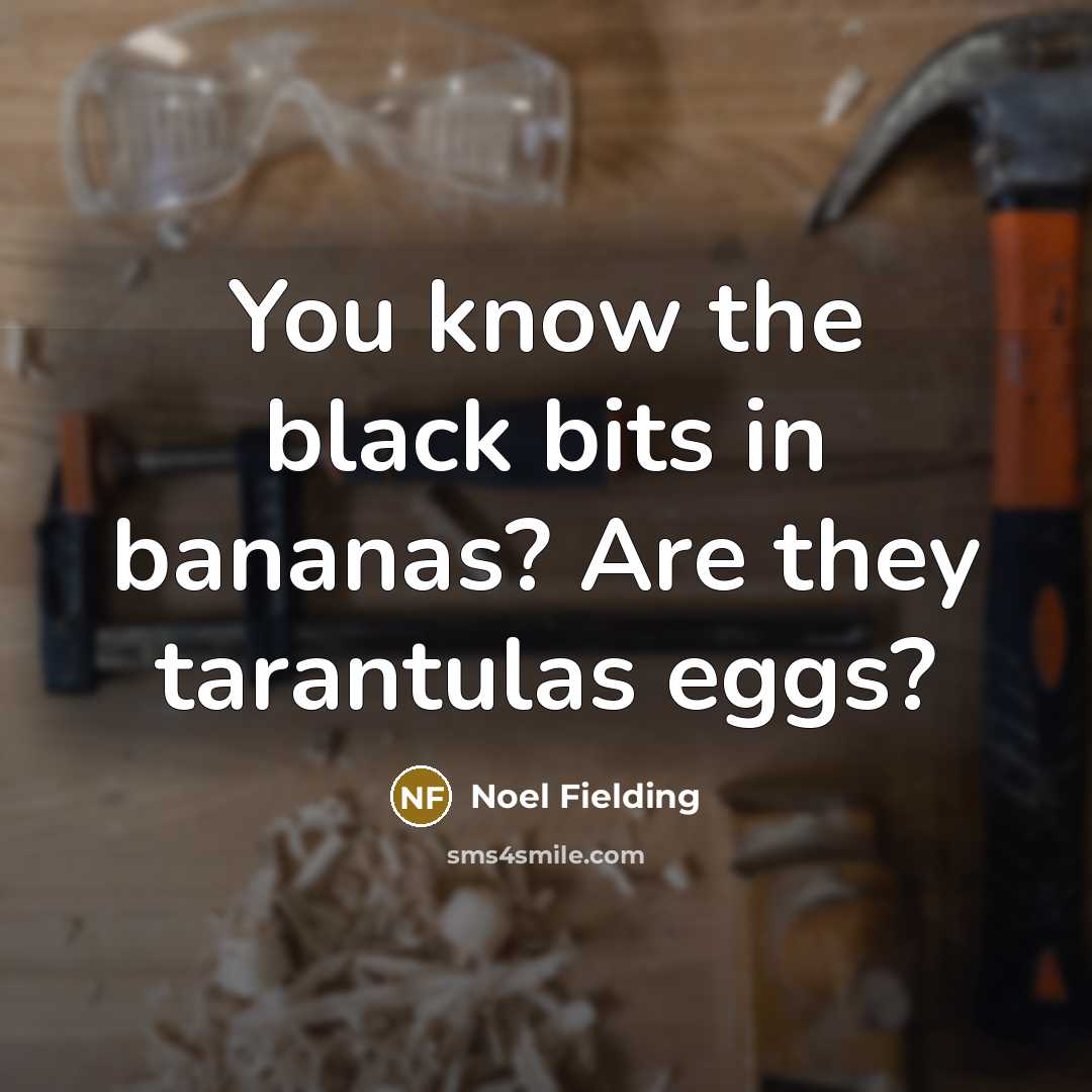 “You know the black bits in bananas? Are they tarantulas…” quote by Noel Fielding
