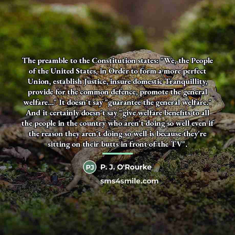“The preamble to the Constitution states: "We, the People of…” quote by P. J. O'Rourke