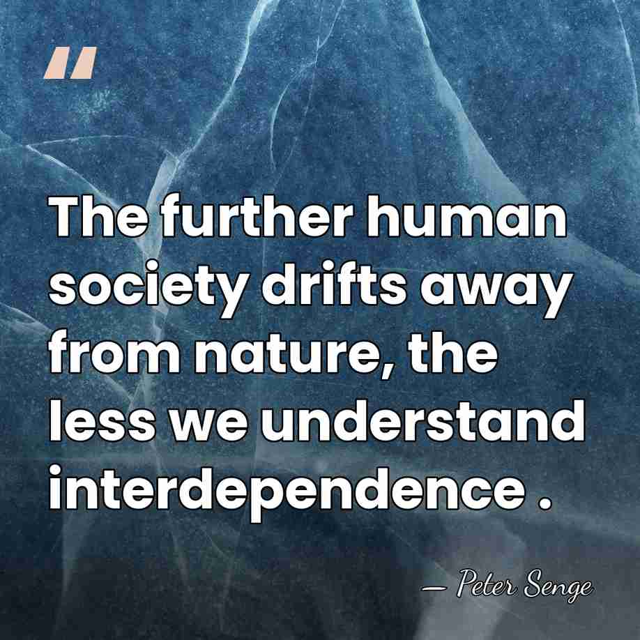 The further human society drifts away from nature, the less we understand&hellip; - Peter Senge