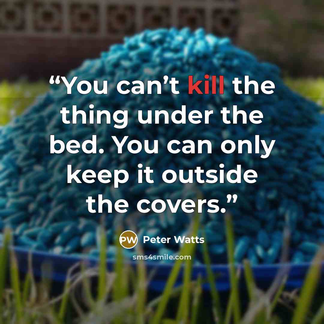 “You can’t kill the thing under the bed. You can only keep it outside the covers.” quote by Peter Watts