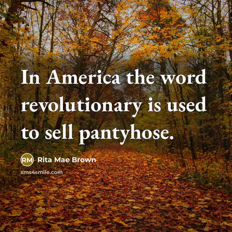 “In America the word revolutionary is used to sell pantyhose.…” quote by Rita Mae Brown