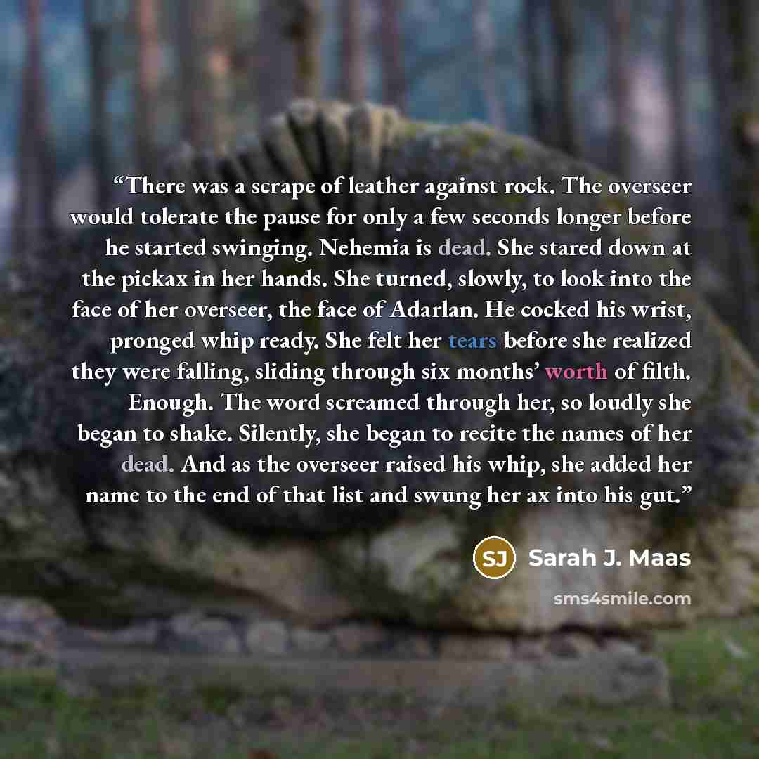 “There was a scrape of leather against rock. The overseer would tolerate the pause for only a few seconds longer before he started swinging. Nehemia is dead. She stared down at the pickax in her hands. She turned, slowly, to look into the face of her overseer, the face of Adarlan. He cocked his…” quote by Sarah J. Maas