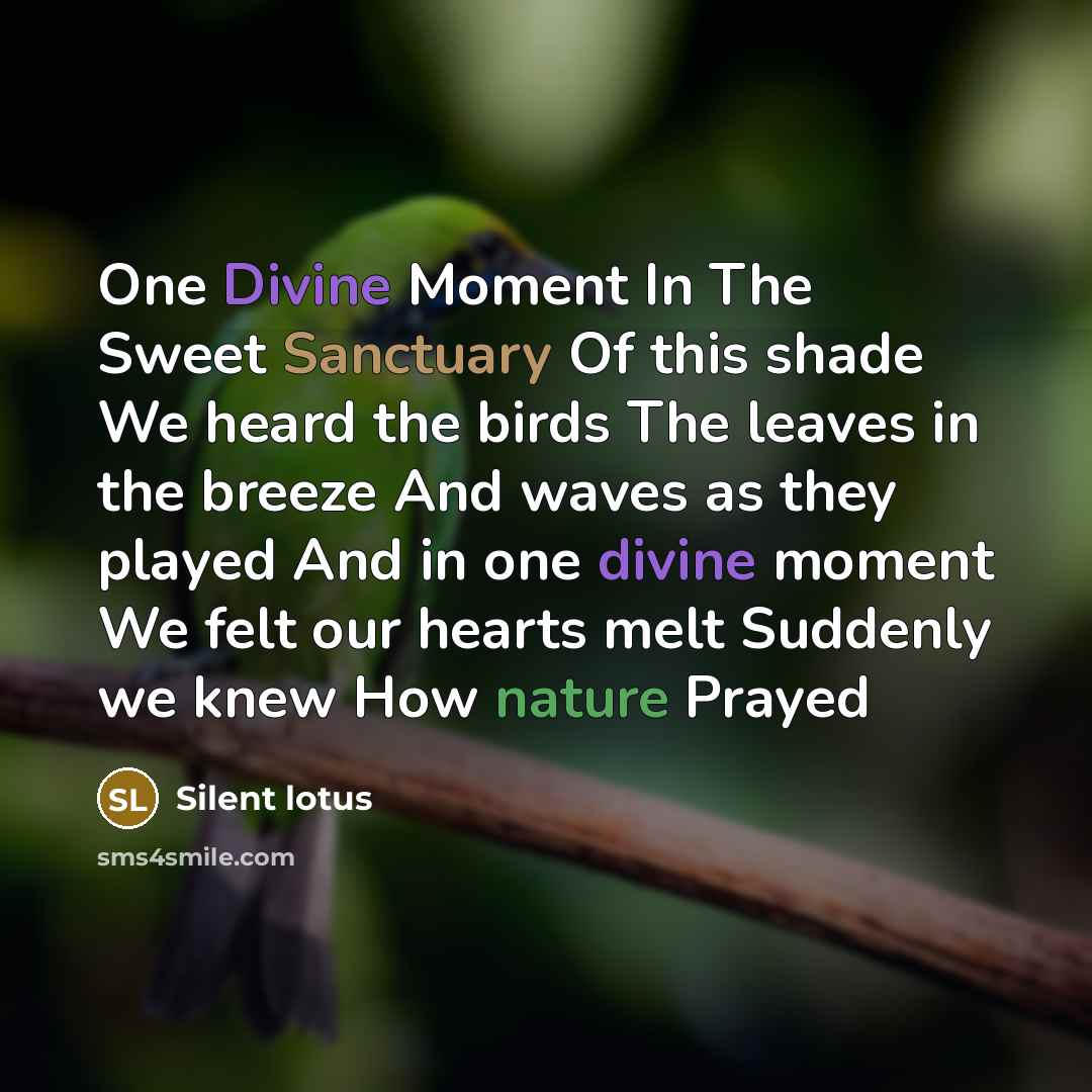 “One Divine Moment In The Sweet Sanctuary Of this shade…” quote by Silent lotus