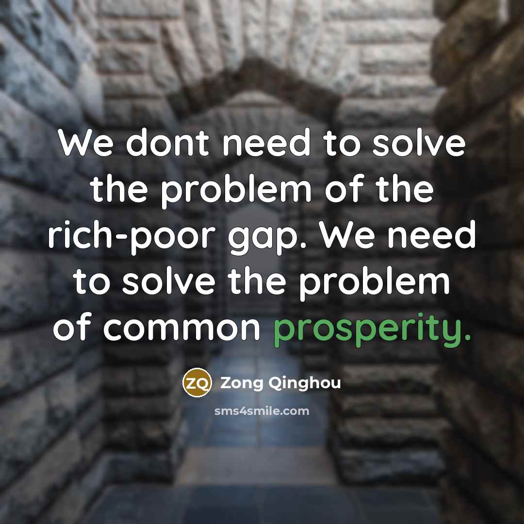 “We dont need to solve the problem of the rich-poor…” quote by Zong Qinghou