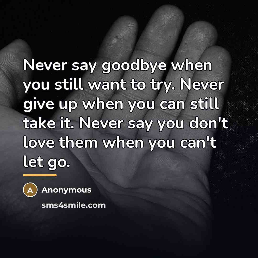 “Never say goodbye when you still want to try. Never…” quote by Anonymous