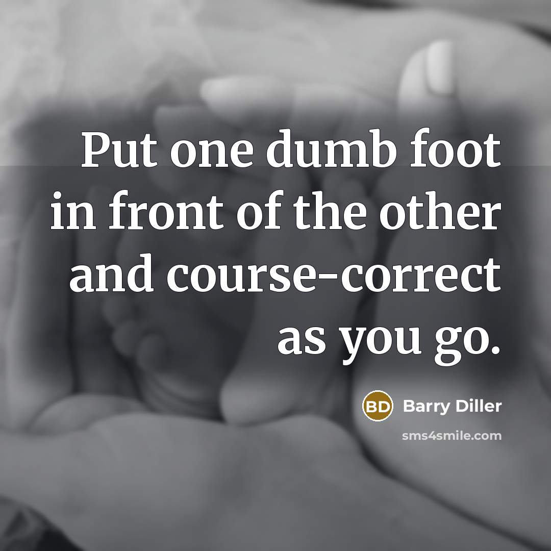 “Put one dumb foot in front of the other and course-correct as you go.” quote by Barry Diller