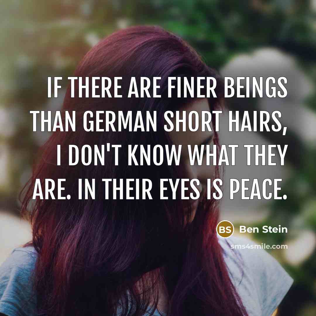 “If there are finer beings than German short hairs, I…” quote by Ben Stein