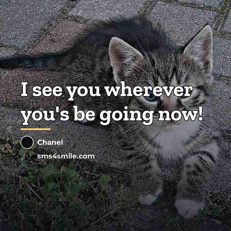 “I see you wherever you's be going now!…” quote by Chanel