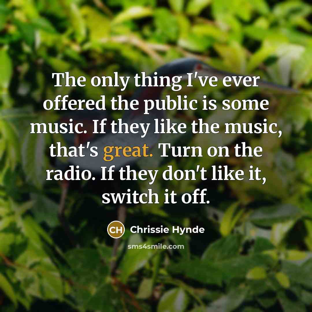 “The only thing I've ever offered the public is some…” quote by Chrissie Hynde