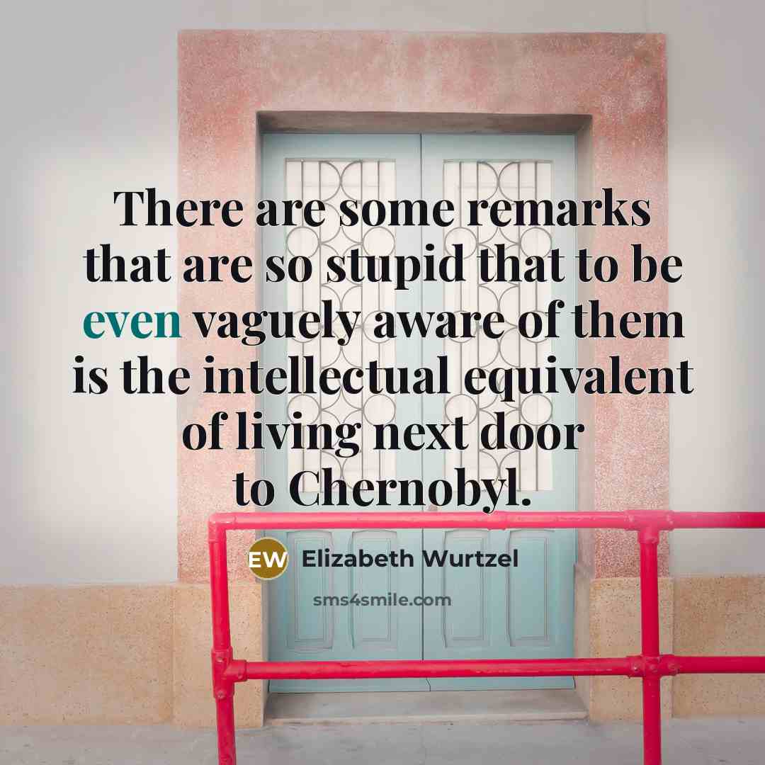 “There are some remarks that are so stupid that to…” quote by Elizabeth Wurtzel