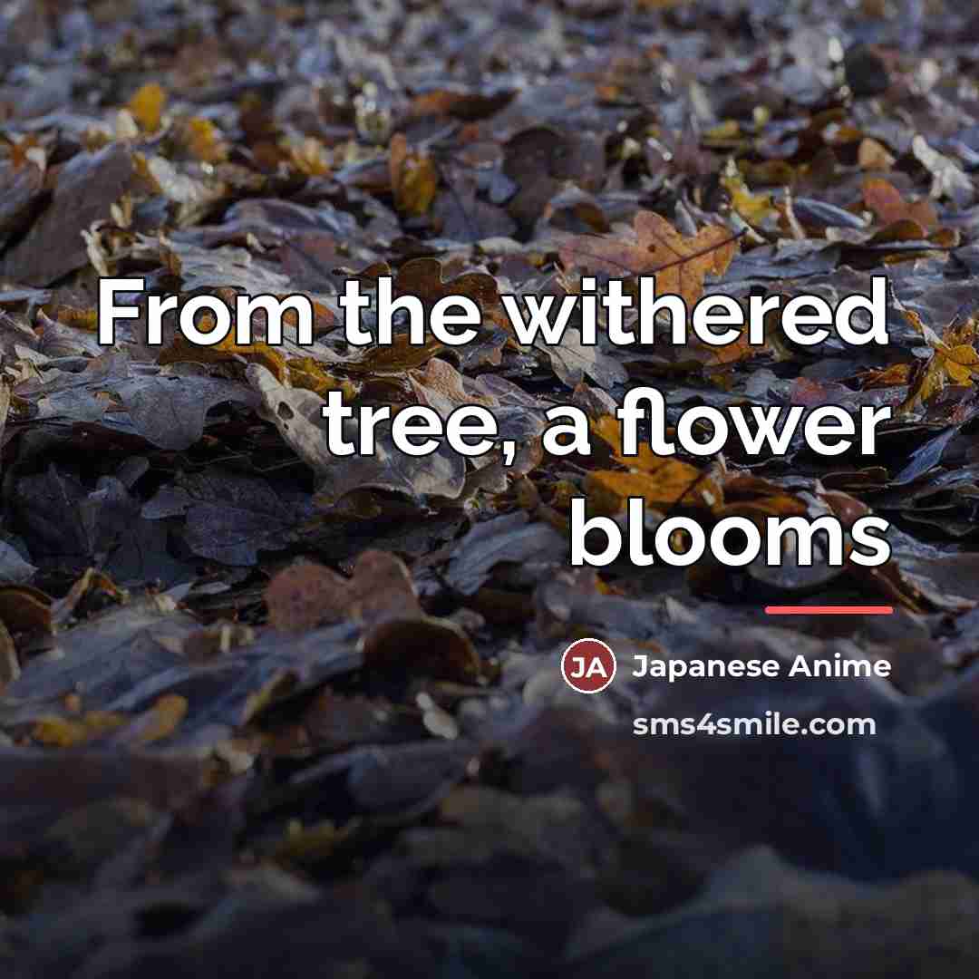 “From the withered tree, a flower blooms…” quote by Japanese Anime