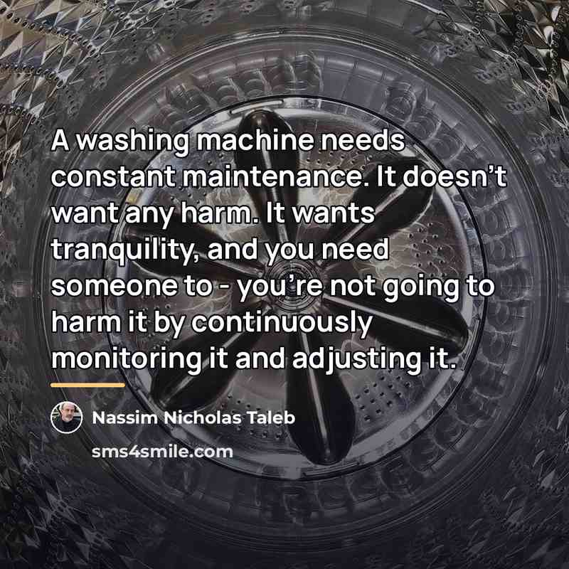 “A washing machine needs constant maintenance. It doesn't want any…” quote by Nassim Nicholas Taleb