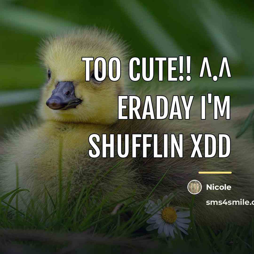 “Too cute!! ^.^ eraday I'm shufflin XDD…” quote by Nicole