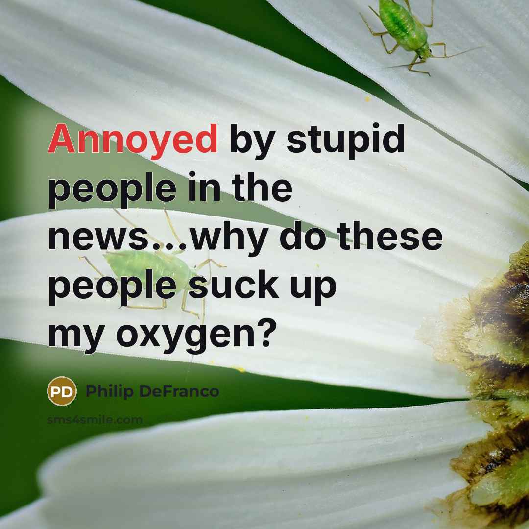 “Annoyed by stupid people in the news...why do these people…” quote by Philip DeFranco