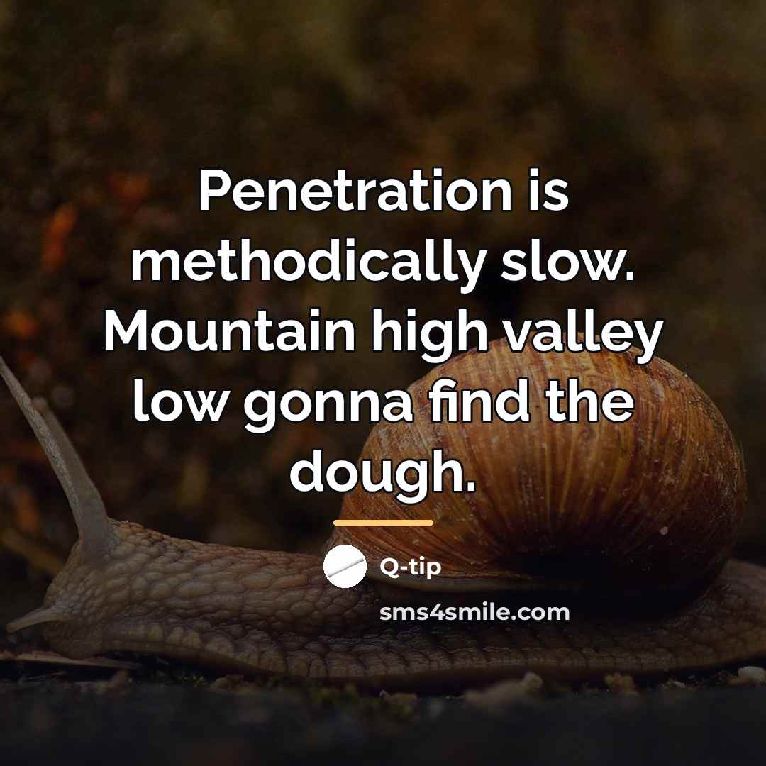 “Penetration is methodically slow. Mountain high valley low gonna find…” quote by Q-tip