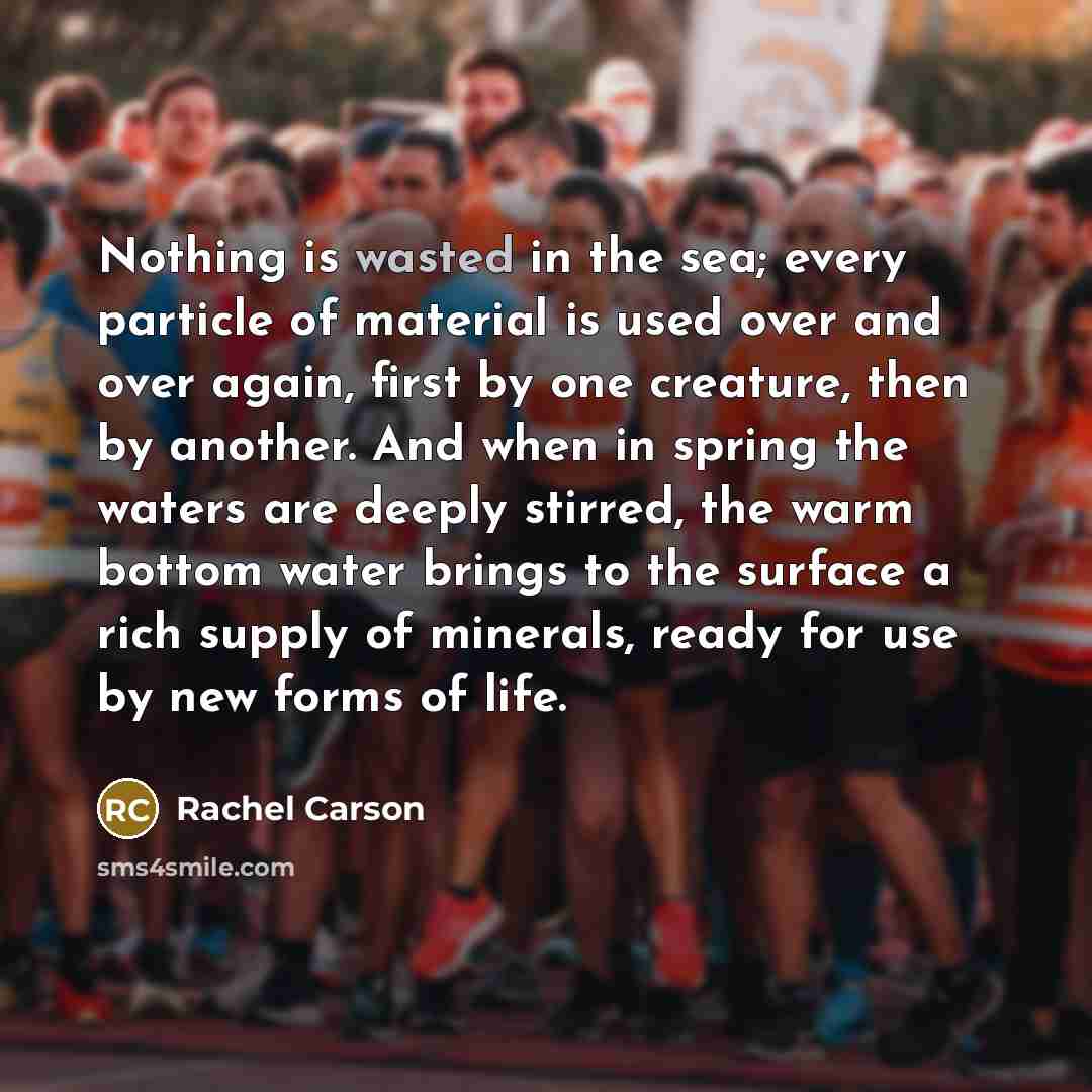 “Nothing is wasted in the sea; every particle of material…” quote by Rachel Carson