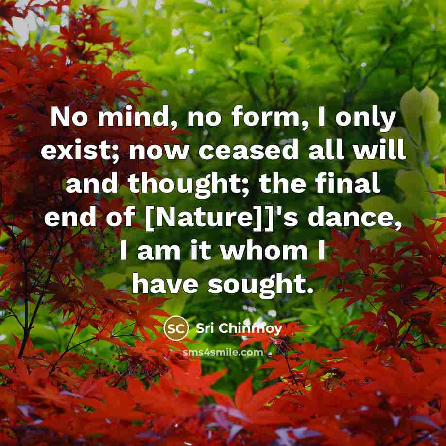 “No mind, no form, I only exist; now ceased all…” quote by Sri Chinmoy