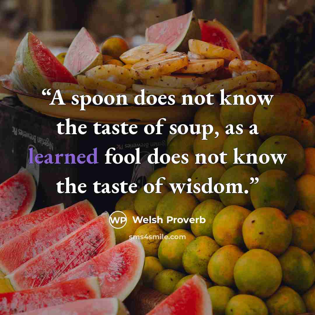 “A spoon does not know the taste of soup, as a learned fool does not know the taste of wisdom.” quote by Welsh proverb