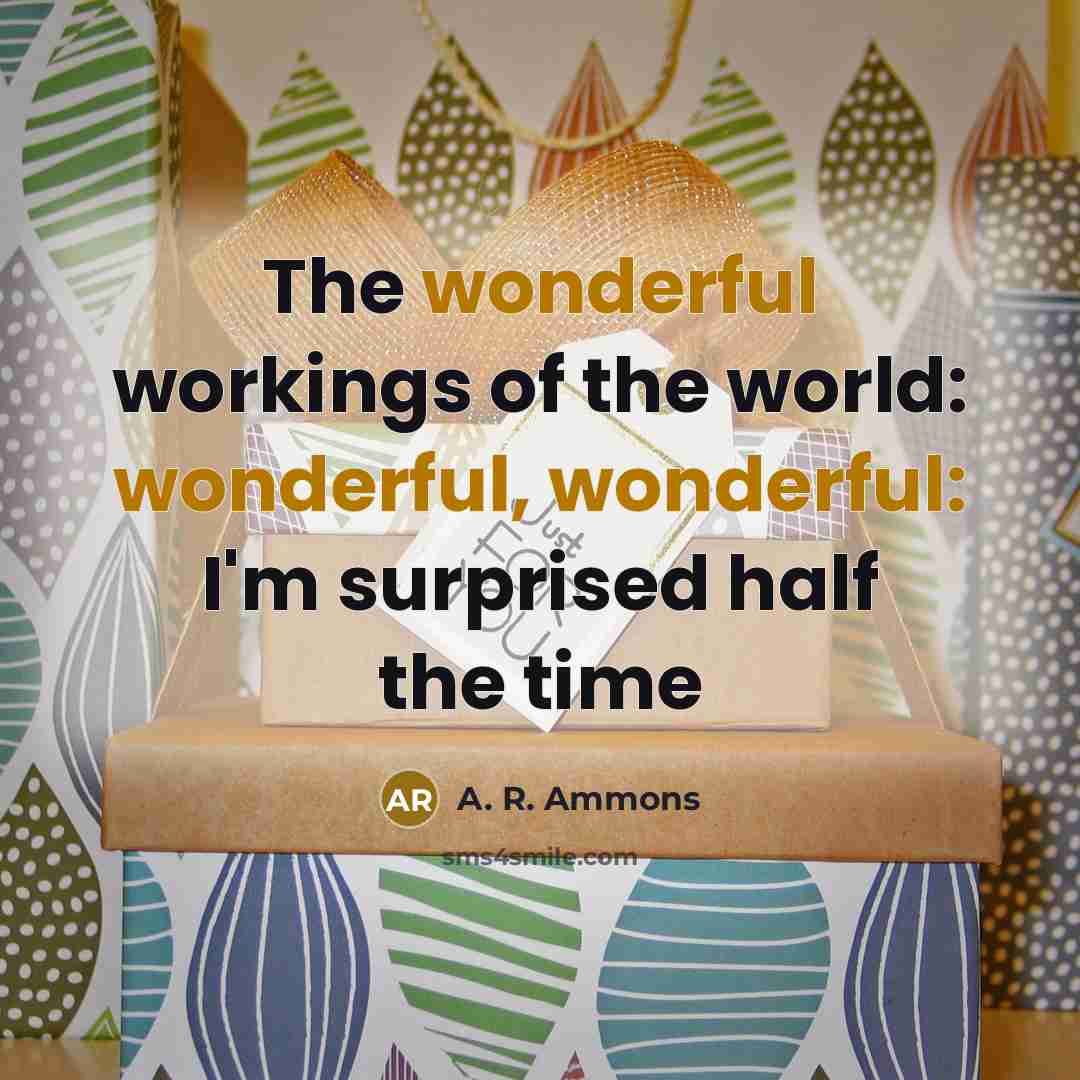 “The wonderful workings of the world: wonderful, wonderful: I'm surprised…” quote by A. R. Ammons