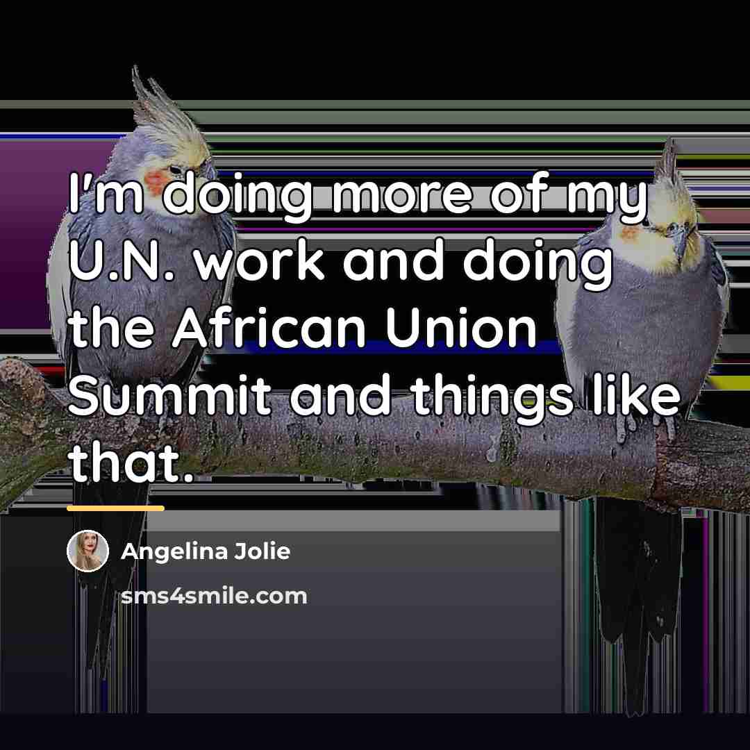 “I'm doing more of my U.N. work and doing the…” quote by Angelina Jolie