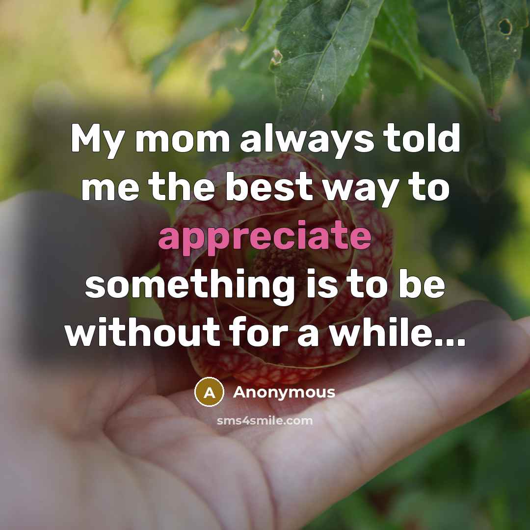 “My mom always told me the best way to appreciate something is to be without for a while...” quote by Anonymous