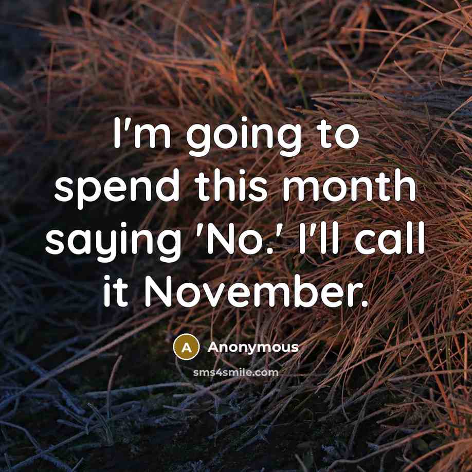 “I'm going to spend this month saying 'No.' I'll call it November.” quote by Anonymous