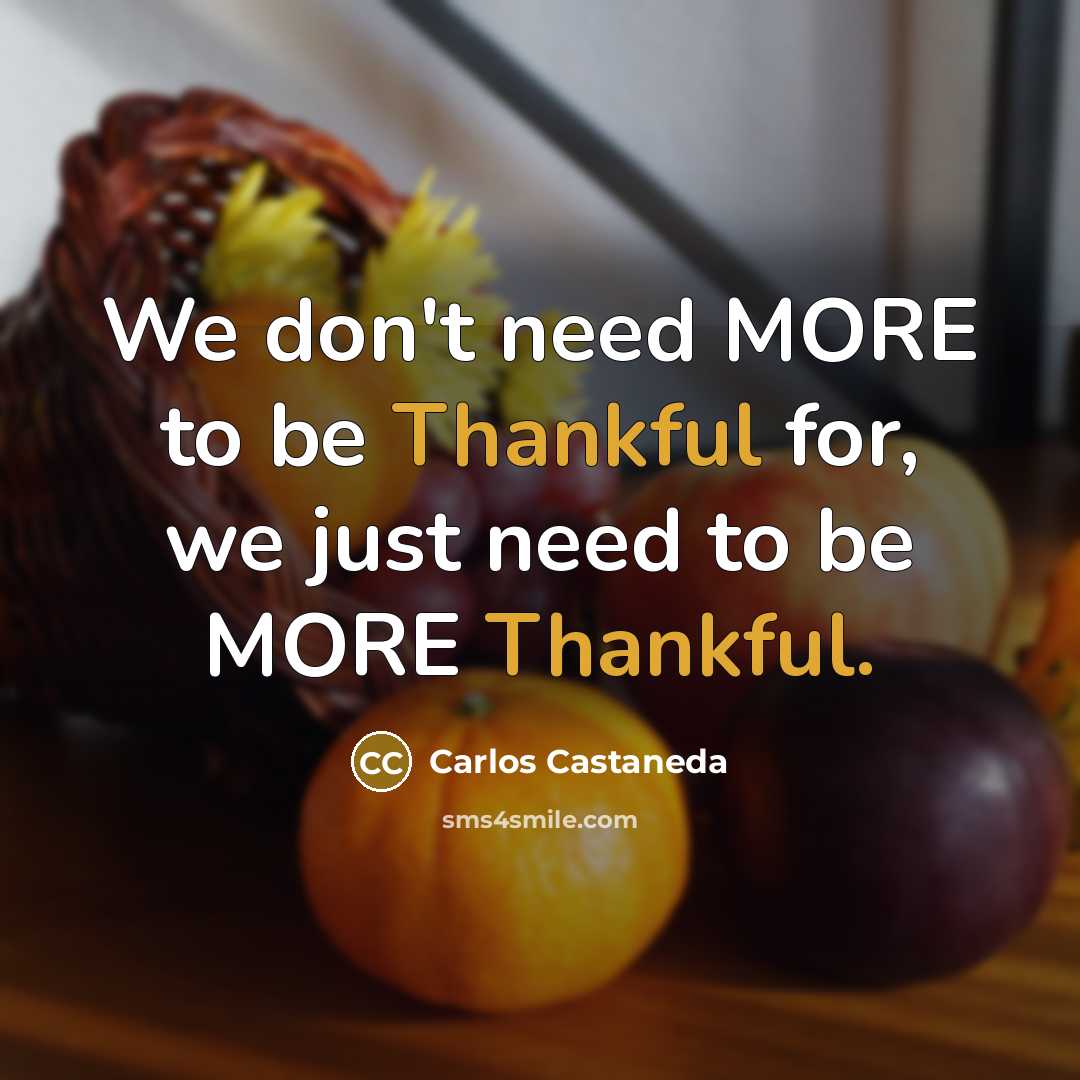“We don't need MORE to be Thankful for, we just…” quote by Carlos Castaneda