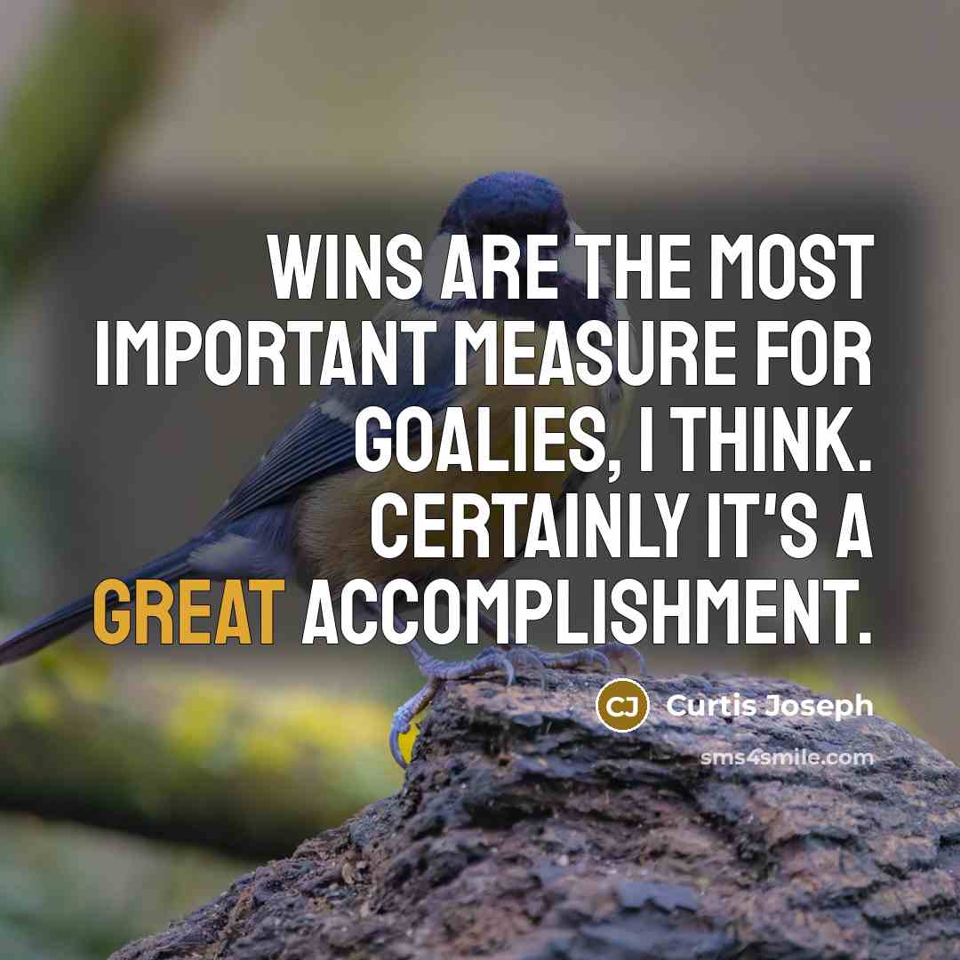 “Wins are the most important measure for goalies, I think.…” quote by Curtis Joseph