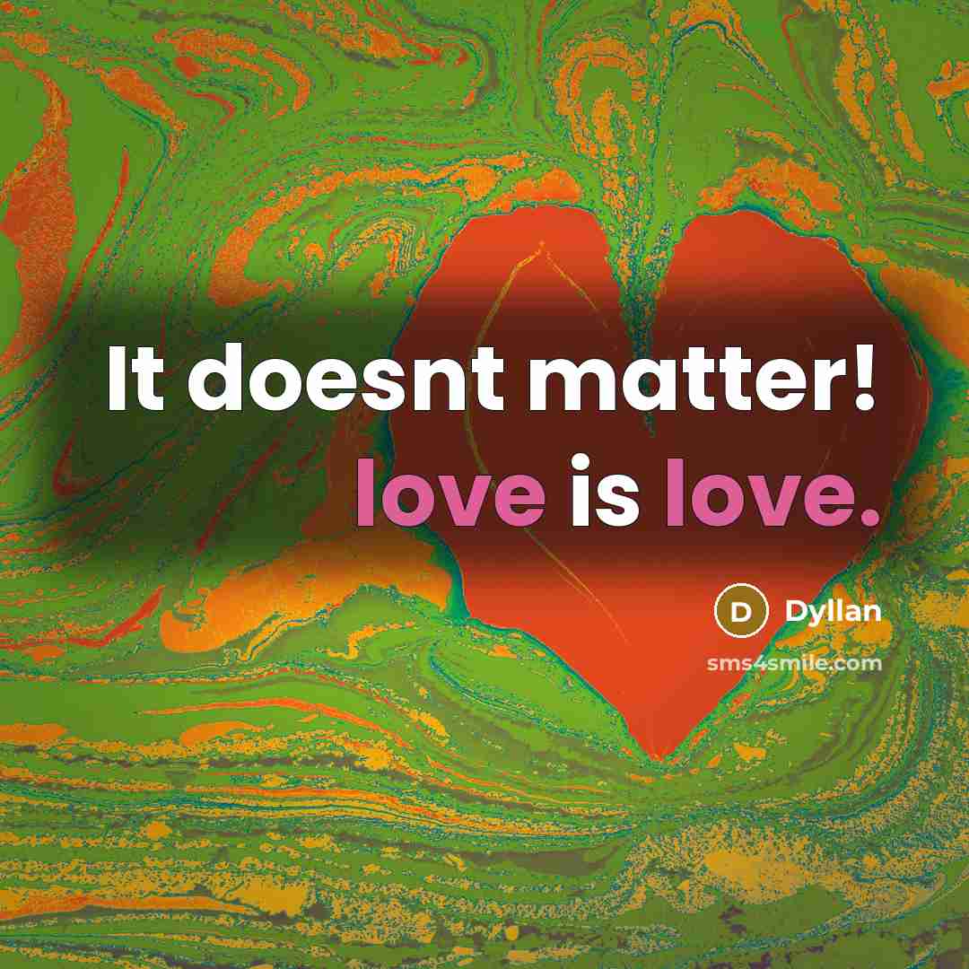 “It doesnt matter! love is love.…” quote by Dyllan