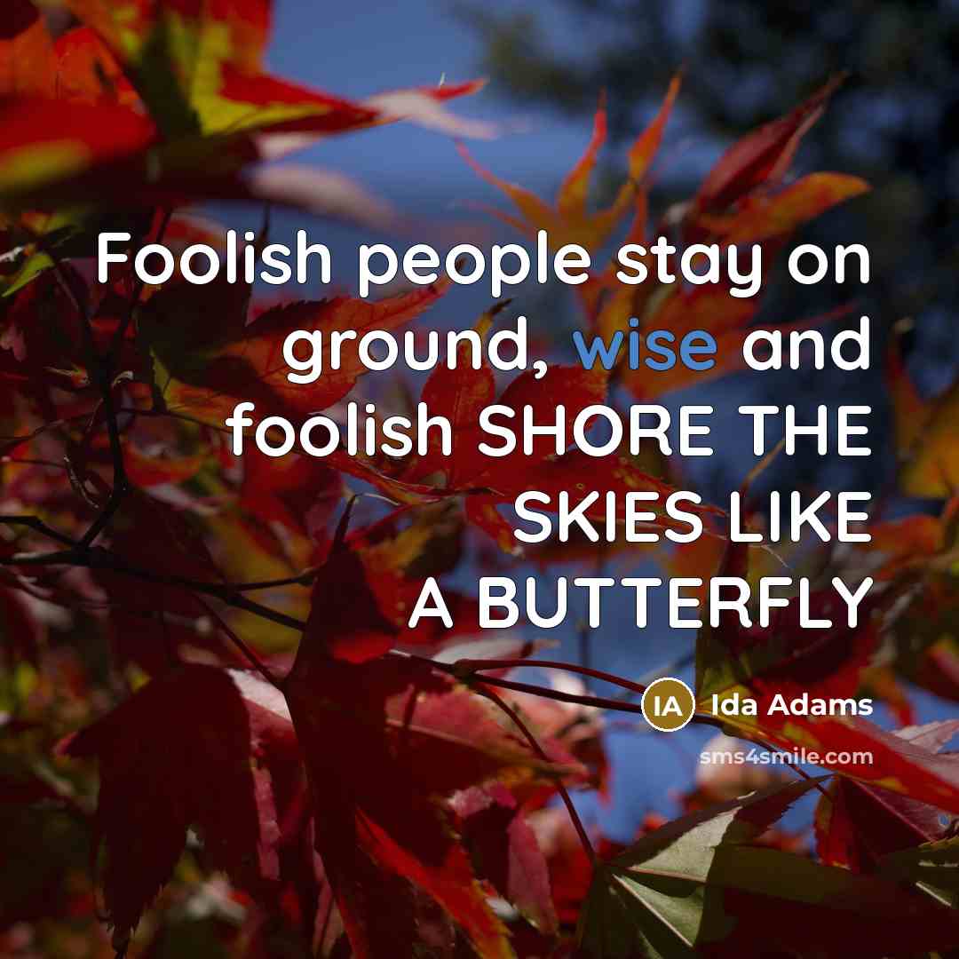 “Foolish people stay on ground, wise and foolish SHORE THE…” quote by Ida Adams