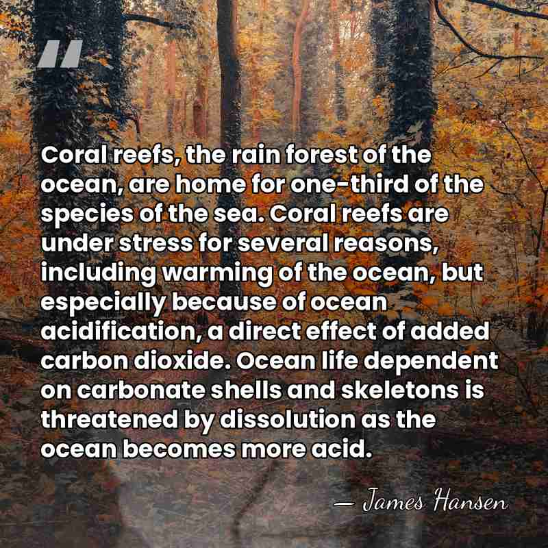 Coral reefs, the rain forest of the ocean, are home for one-third&hellip; - James Hansen