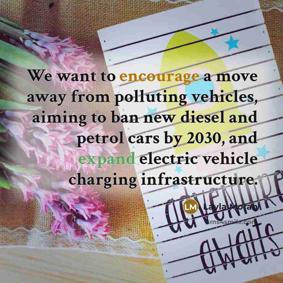 “We want to encourage a move away from polluting vehicles,…” quote by Layla Moran