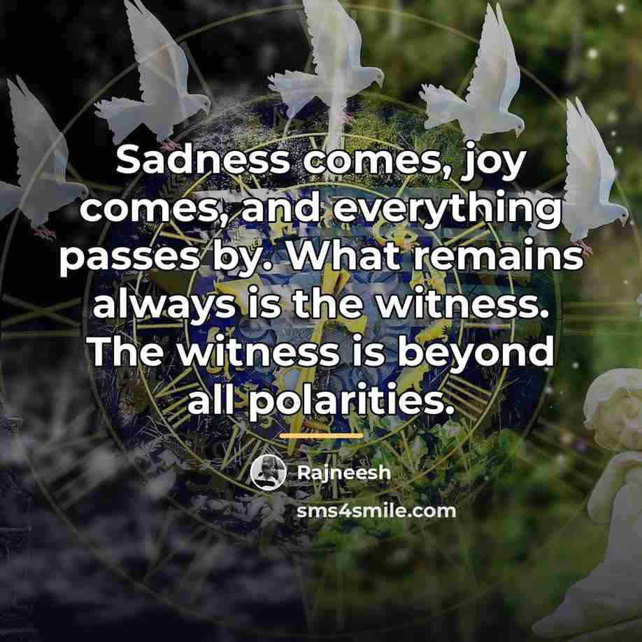 “Sadness comes, joy comes, and everything passes by. What remains…” quote by Rajneesh