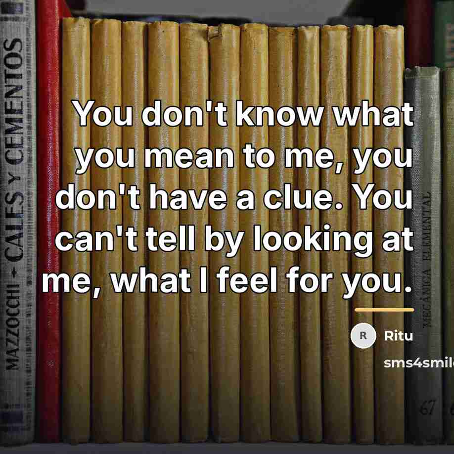 “You don't know what you mean to me, you don't…” quote by Ritu