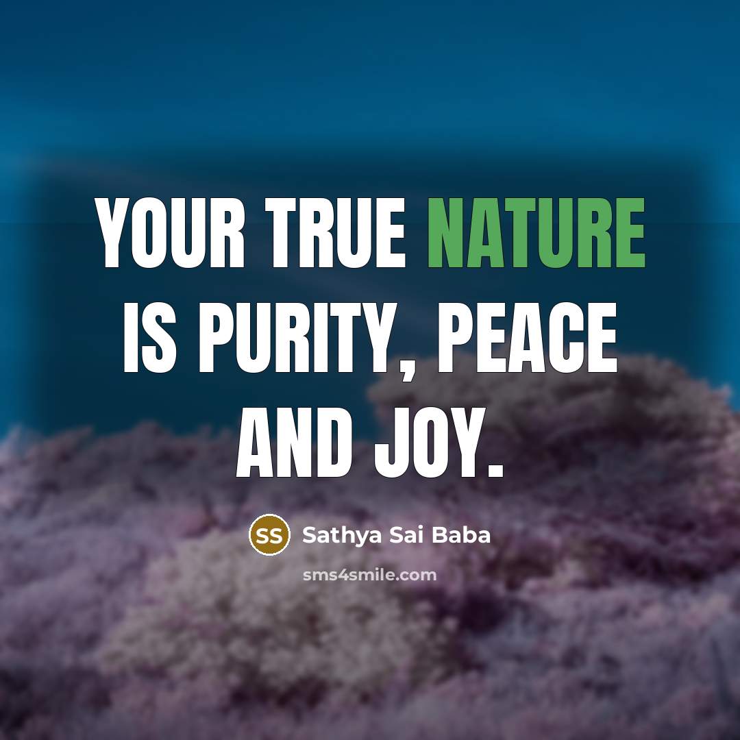 “Your true nature is purity, peace and joy.…” quote by Sathya Sai Baba