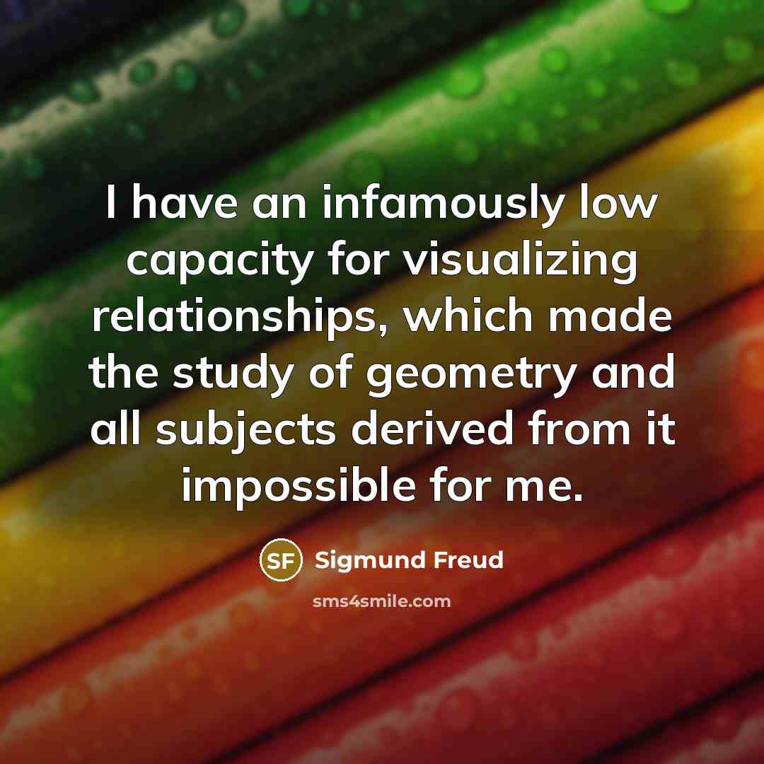 “I have an infamously low capacity for visualizing relationships, which…” quote by Sigmund Freud
