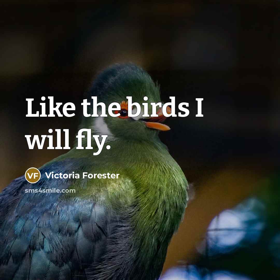 “Like the birds I will fly.…” quote by Victoria Forester
